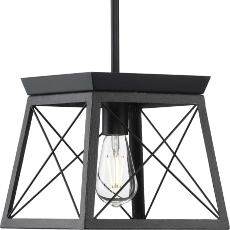 Progress Lighting Briarwood Single Light 10" Wide Pendant Textured Black