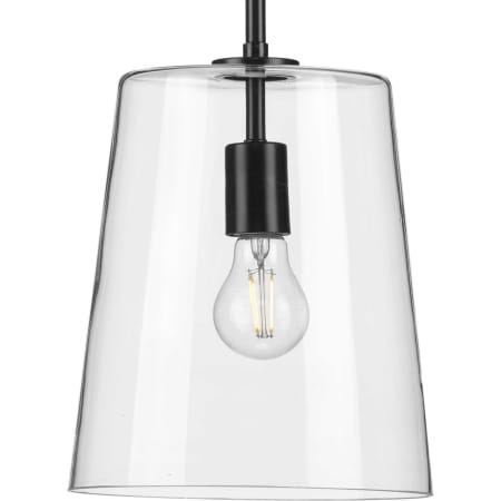 Bulb Detail