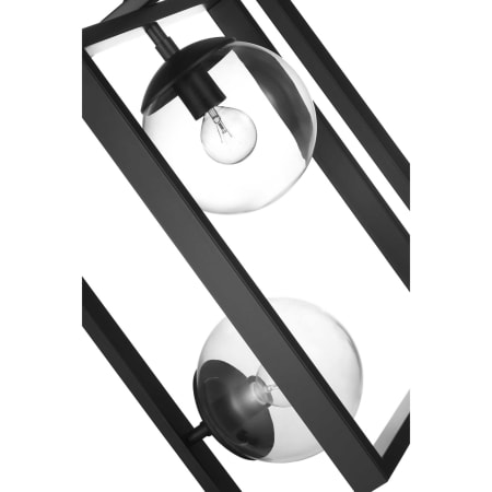 Alternate Image