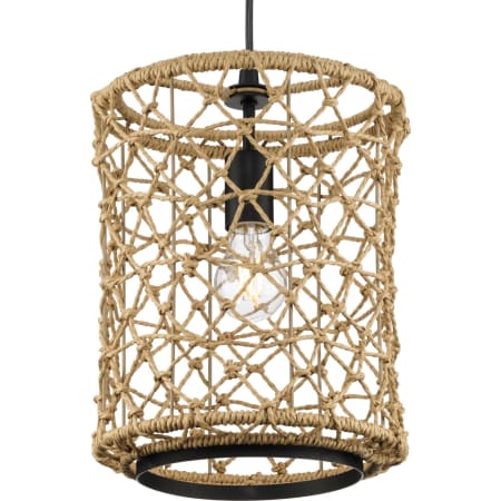 Progress Lighting Chandra 10" Wide Pendant Matte Black