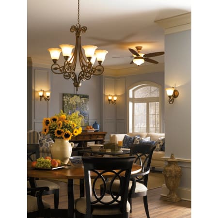 P5083 Alternate View