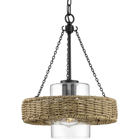Progress Lighting Pembroke 14" Wide Outdoor Pendant Matte Black