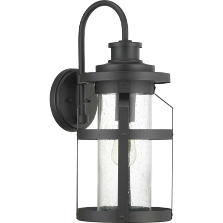 Progress Lighting Haslett Single Light 22" Tall Outdoor Wall Sconce Black