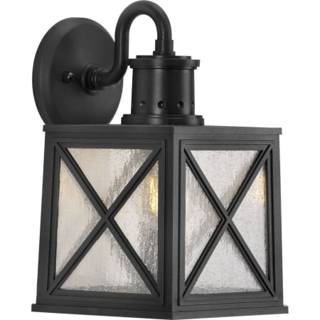 Progress Lighting Seagrove 13" Tall Outdoor Wall Sconce Black