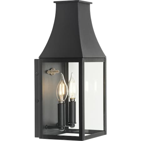 Progress Lighting Radcliffe 2 Light 16" Tall Outdoor Wall Sconce Black