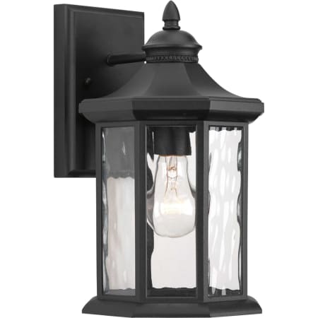 Progress Lighting Edition 13" Tall Single Light Outdoor Wall Sconce with Water Glass Shade Black