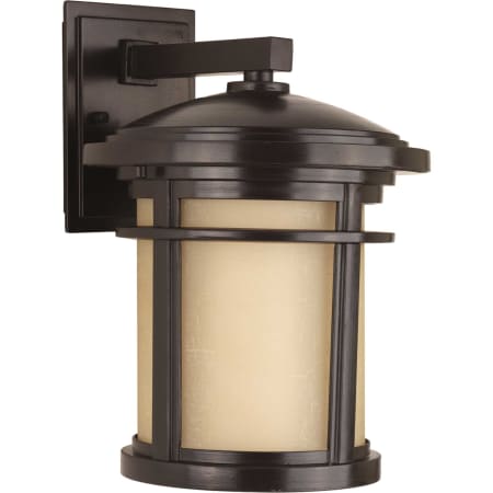Progress Lighting Wish LED 1 Light 13" Tall Outdoor Wall Sconce with Etched Glass Diffuser Antique Bronze