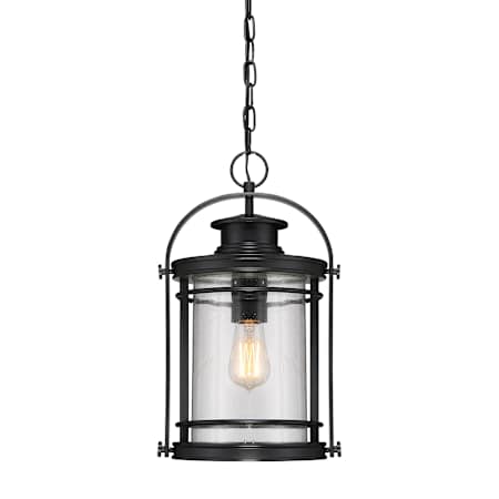 Quoizel Booker 9" Wide Pendant Mystic Black