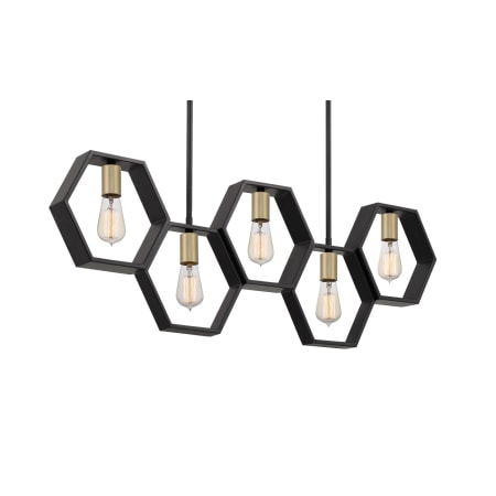 Quoizel Bismarck 5 Light 40" Wide Linear Chandelier Earth Black