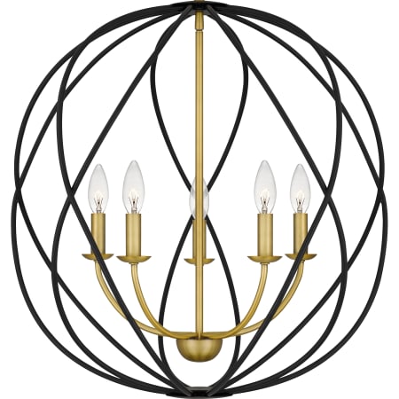 Alternate Image