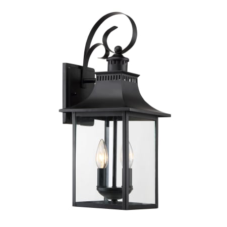 Quoizel Chancellor 2 Light 19" High Outdoor Wall Sconce with Clear Glass Shade Mystic Black