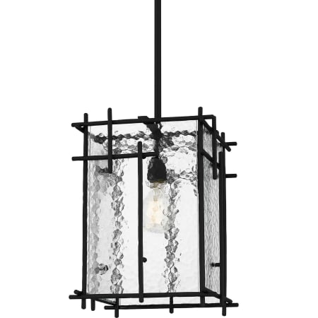 Quoizel Daphne 13" Wide Pendant Matte Black