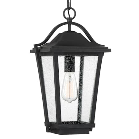 Quoizel Darius Single Light 11" Wide Outdoor Pendant Earth Black