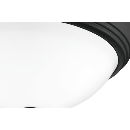 Alternate View