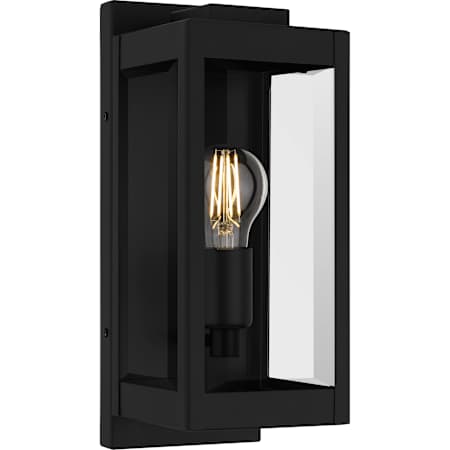 Quoizel Eastover 13" Tall Outdoor Wall Sconce with Clear Glass Shade Earth Black