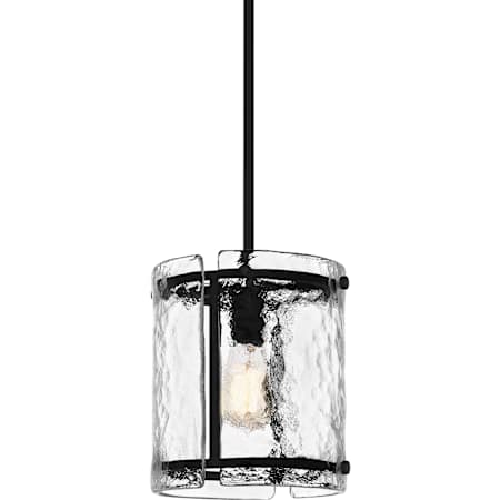 Quoizel 9" Wide Mini Pendant Earth Black