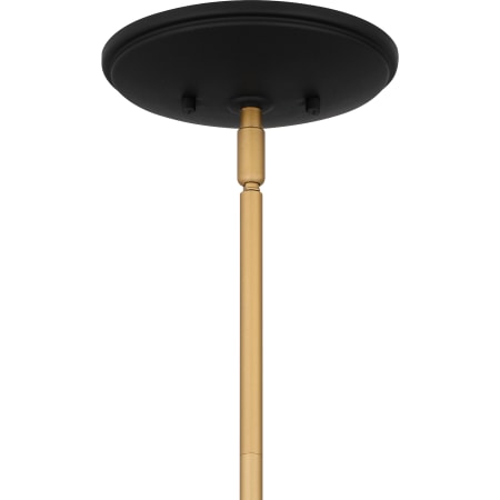 Alternate Image