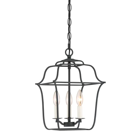 Quoizel Gallery 3 Light 10" Wide Chandelier Royal Ebony