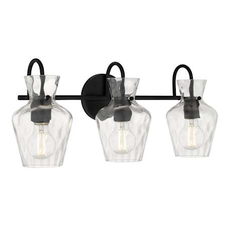 Quoizel Hollis 3 Light 22" Wide Vanity Light Matte Black