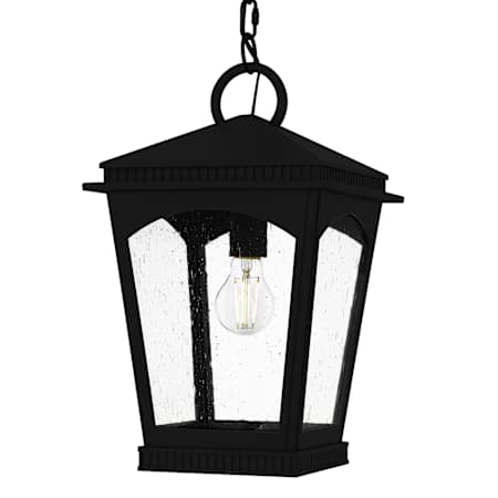 Quoizel Huck 10" Wide Mini Pendant with Seedy Glass Shade Earth Black