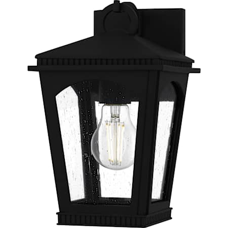 Quoizel Huck 11" Tall Outdoor Wall Sconce with Seedy Glass Shade Earth Black