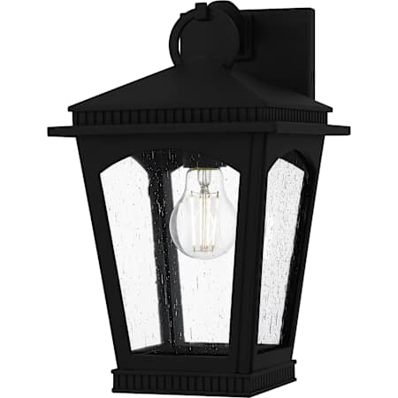 Quoizel Huck 13" Tall Outdoor Wall Sconce with Seedy Glass Shade Earth Black