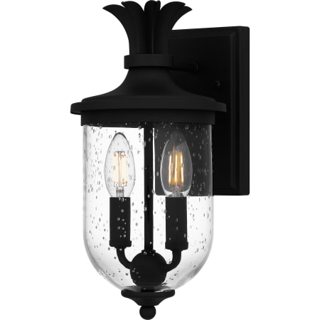 Quoizel Havana 2 Light 14" Tall Outdoor Wall Sconce with Seedy Glass Shade Earth Black