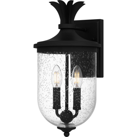 Quoizel Havana 2 Light 16" Tall Outdoor Wall Sconce with Seedy Glass Shade Earth Black