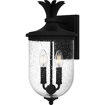 Quoizel Havana 2 Light 16" Tall Outdoor Wall Sconce with Seedy Glass Shade Earth Black