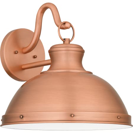 Alternate Image