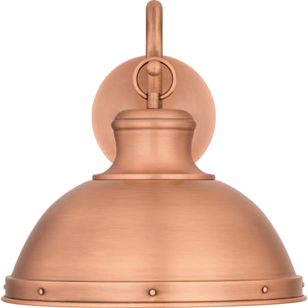 Alternate Image