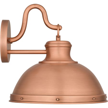 Alternate Image