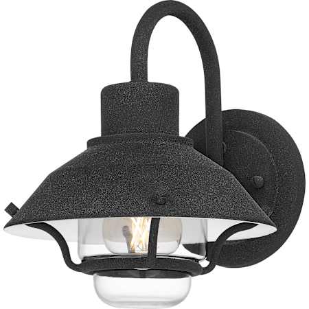 Quoizel Lavalier 10" Tall Outdoor Wall Sconce Mottled Black