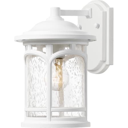 Quoizel Marblehead Single Light 11" Tall Outdoor Wall Sconce with a Glass Shade Fresco