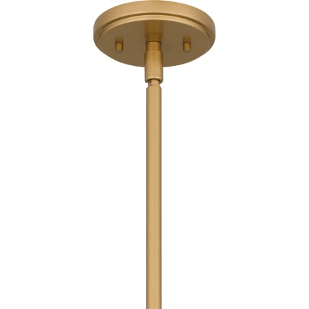Alternate Image