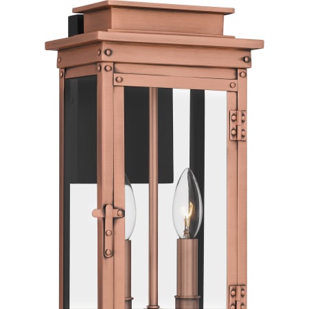 Alternate Image