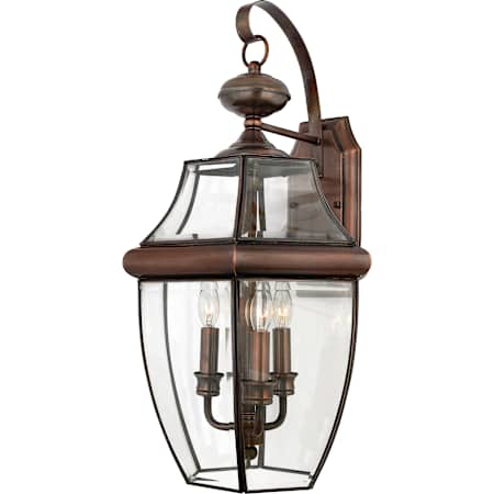 Quoizel Newbury 3 Light 23" Tall Outdoor Wall Sconce with Clear Glass Aged Copper