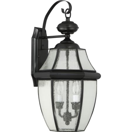 Quoizel-NY8411-Light Off