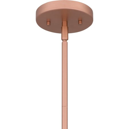 Alternate Image