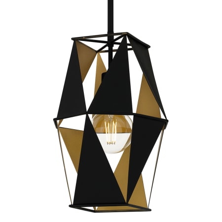 Quoizel Wren 10" Wide Pendant Matte Black
