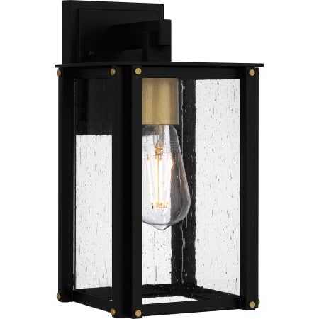 Quoizel Robbins 12" Tall Outdoor Wall Sconce with Seedy Glass Shade Matte Black