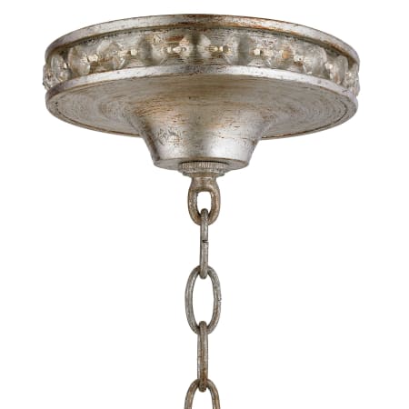Alternate View