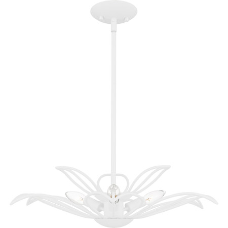 Alternate Image