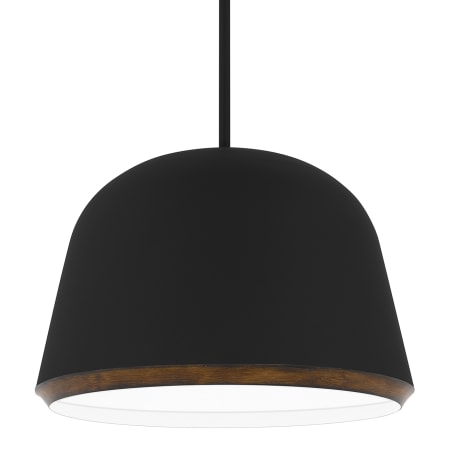 Quoizel Tamara 4 Light 20" Wide Wood Pendant Matte Black