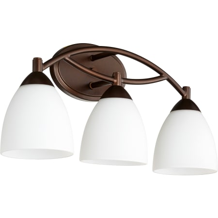 Quorum International Barkley 3 Light 21" Wide Bathroom Vanity Light Oiled Bronze