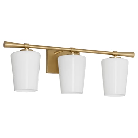 Quorum International Goodwin 3 Light 19" Wide Vanity Light with Opal Shades Aged Brass