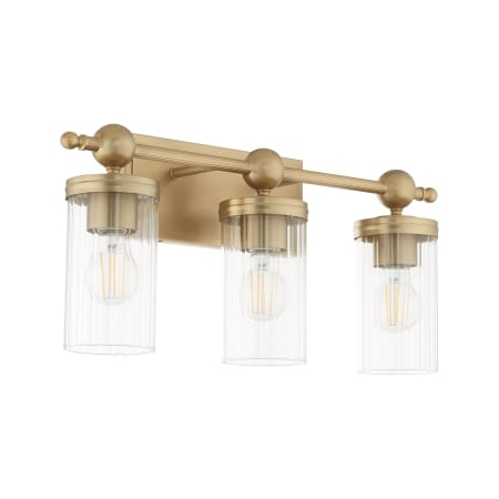 Quorum International Lee Boulevard 3 Light 22" Wide Vanity Light Aged Brass