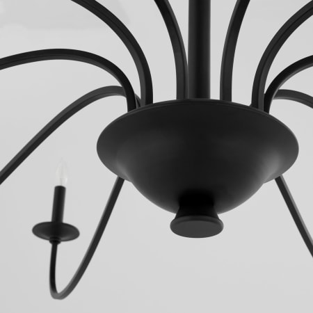 Alternate Image