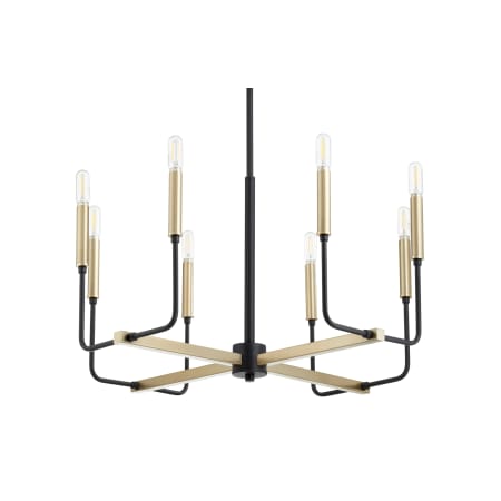 Quorum International Lacy 8 Light 24" Wide Chandelier Noir / Aged Brass