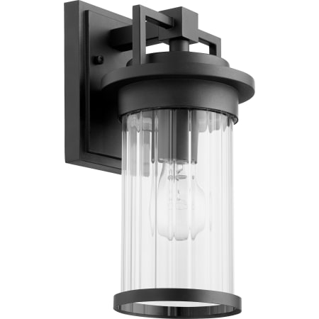 Quorum International Dimas 12" Tall Outdoor Wall Sconce Noir